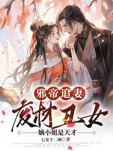 特级厨师女主